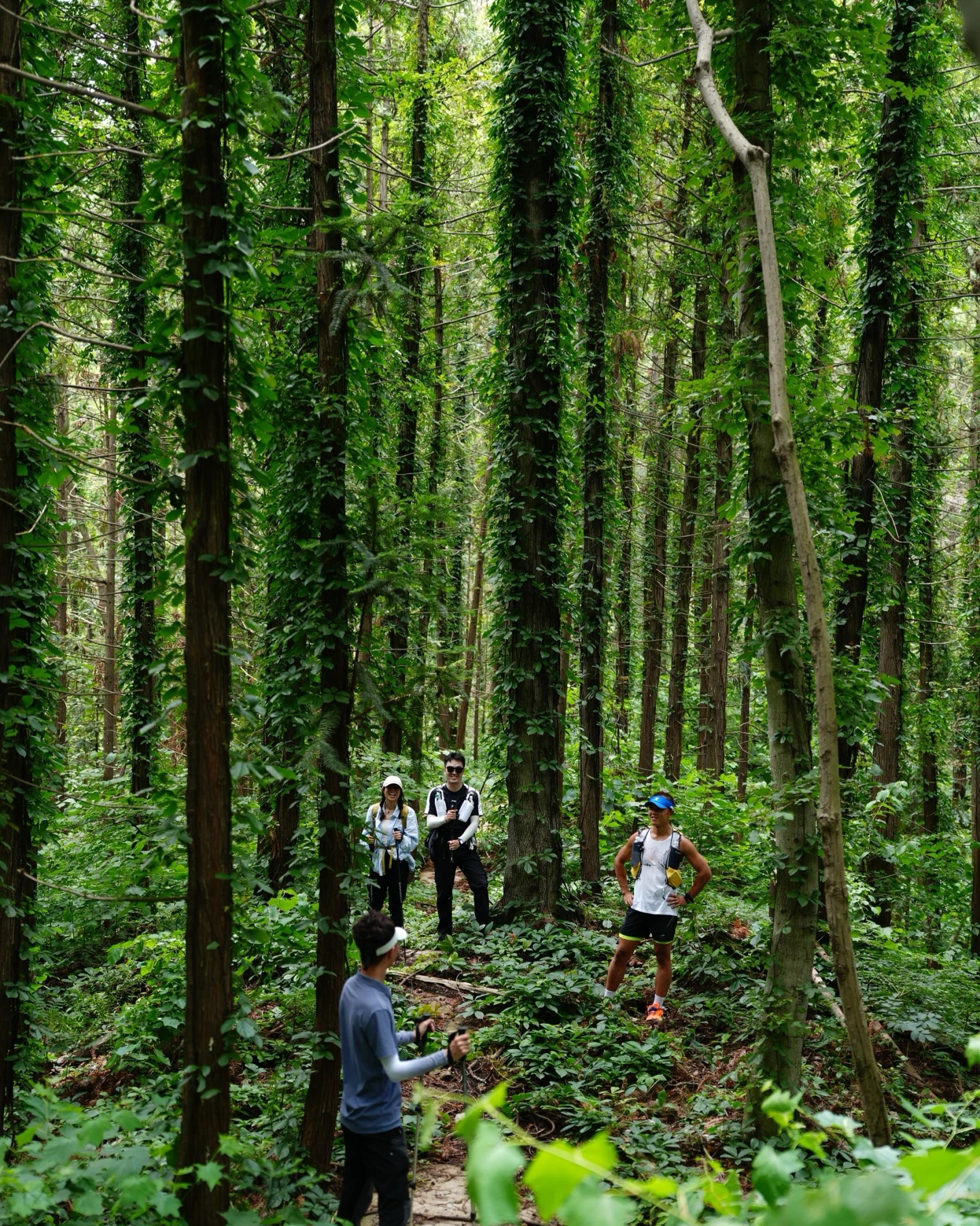 Hiking